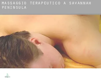 Massaggio terapeutico a  Savannah Peninsula