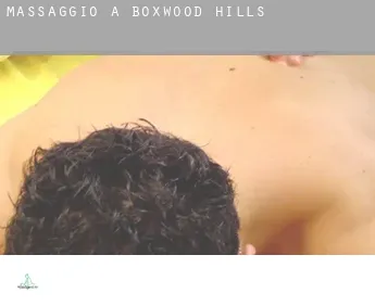 Massaggio a  Boxwood Hills