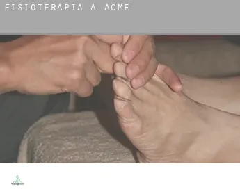 Fisioterapia a  Acme