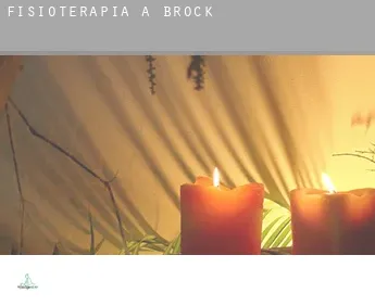 Fisioterapia a  Brock