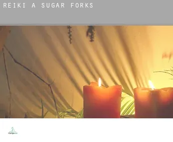 Reiki a  Sugar Forks