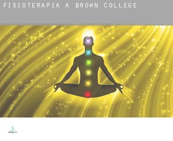 Fisioterapia a  Brown College