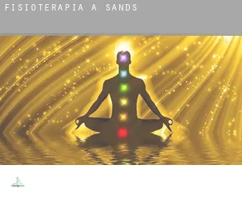 Fisioterapia a  Sands