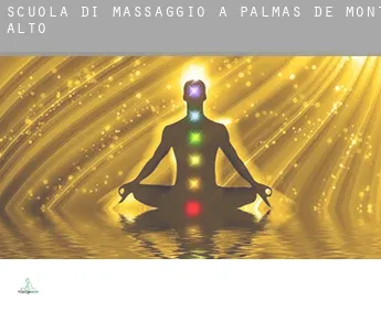 Scuola di massaggio a  Palmas de Monte Alto