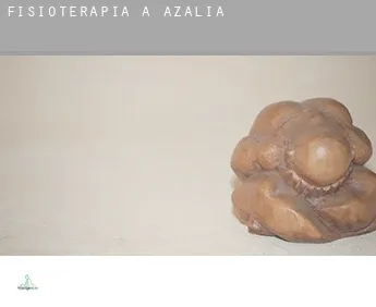 Fisioterapia a  Azalia