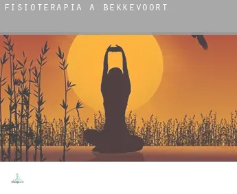 Fisioterapia a  Bekkevoort