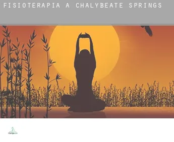 Fisioterapia a  Chalybeate Springs