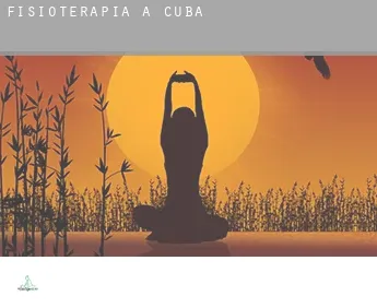 Fisioterapia a  Cuba