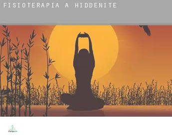 Fisioterapia a  Hiddenite