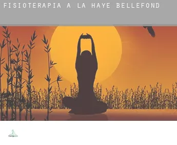 Fisioterapia a  La Haye-Bellefond