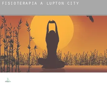 Fisioterapia a  Lupton City