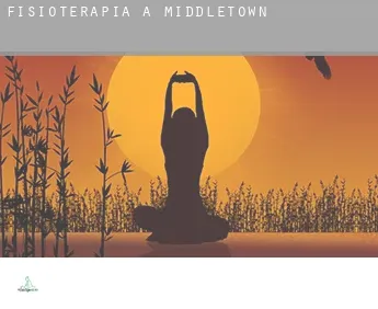 Fisioterapia a  Middletown