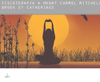 Fisioterapia a  Mount Carmel-Mitchells Brook-St. Catherines