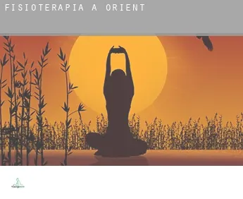 Fisioterapia a  Orient