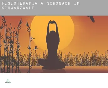 Fisioterapia a  Schonach im Schwarzwald
