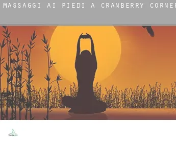 Massaggi ai piedi a  Cranberry Corners