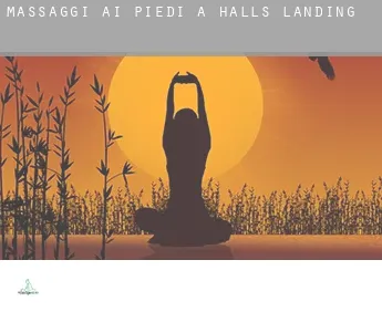 Massaggi ai piedi a  Halls Landing