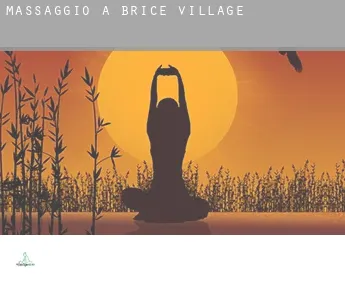 Massaggio a  Brice Village