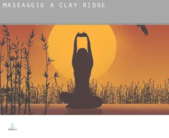 Massaggio a  Clay Ridge