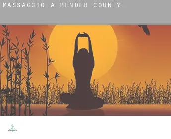 Massaggio a  Pender County