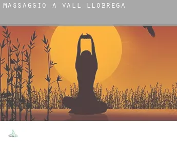 Massaggio a  Vall-llobrega