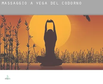 Massaggio a  Vega del Codorno