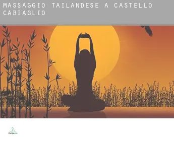 Massaggio tailandese a  Castello Cabiaglio