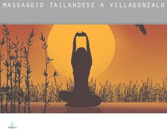 Massaggio tailandese a  Villagonzalo