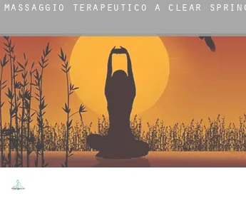 Massaggio terapeutico a  Clear Spring