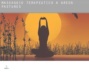 Massaggio terapeutico a  Green Pastures