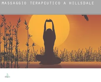 Massaggio terapeutico a  Hillsdale