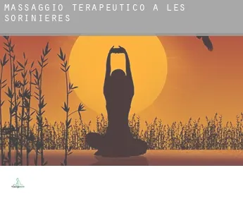 Massaggio terapeutico a  Les Sorinières