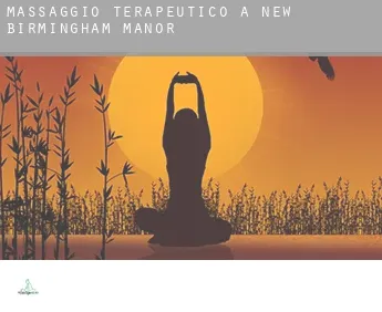 Massaggio terapeutico a  New Birmingham Manor