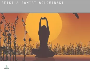 Reiki a  Powiat wołomiński