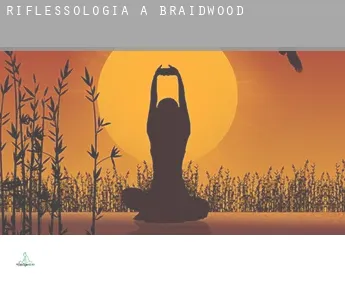 Riflessologia a  Braidwood