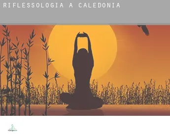 Riflessologia a  Caledonia