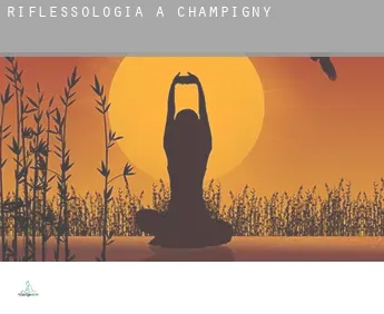 Riflessologia a  Champigny