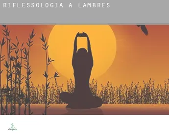 Riflessologia a  Lambres