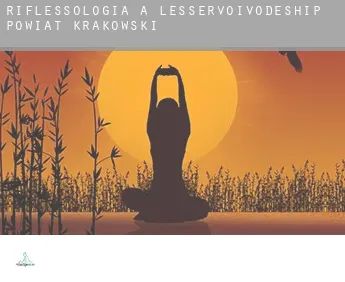 Riflessologia a  Powiat krakowski (Lesser Poland Voivodeship)