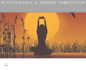 Riflessologia a  Orchard Subdivision