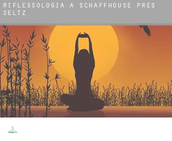 Riflessologia a  Schaffhouse-près-Seltz