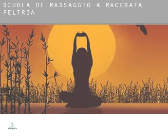Scuola di massaggio a  Macerata Feltria