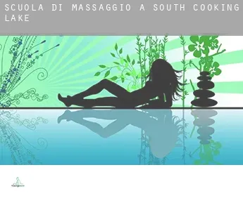 Scuola di massaggio a  South Cooking Lake