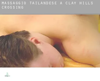Massaggio tailandese a  Clay Hills Crossing