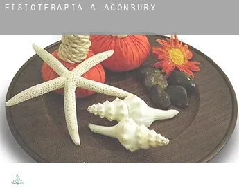 Fisioterapia a  Aconbury