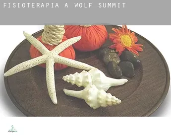 Fisioterapia a  Wolf Summit