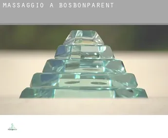 Massaggio a  Bosbonparent