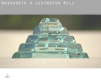 Massaggio a  Lexington Mill