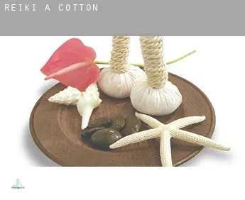 Reiki a  Cotton