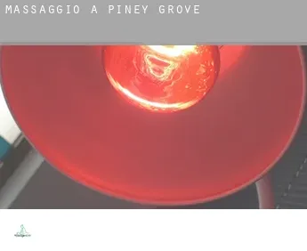 Massaggio a  Piney Grove